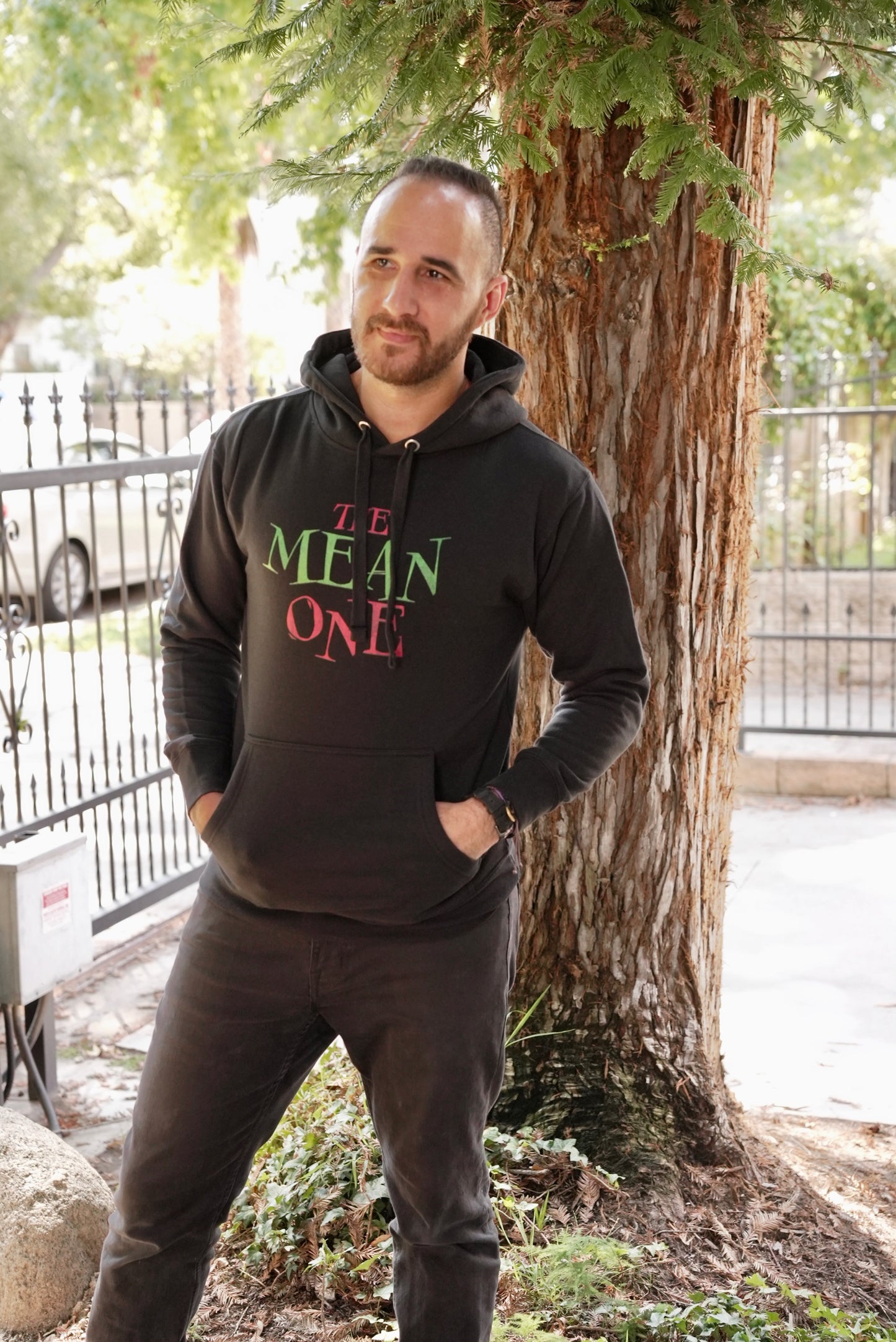 The Mean One Hoodie - Unisex